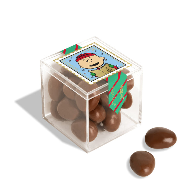 Charlie Brown - Chocolate Biscuits - Small (Peanuts Holiday 2026)
