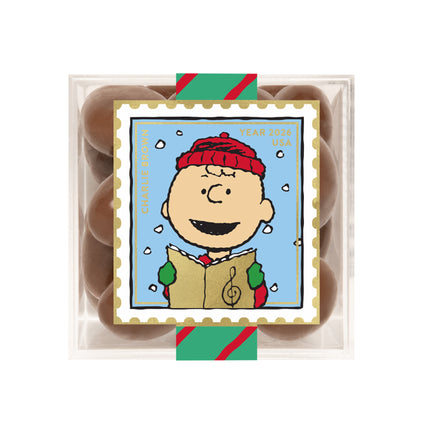 Charlie Brown - Chocolate Biscuits - Small (Peanuts Holiday 2026)