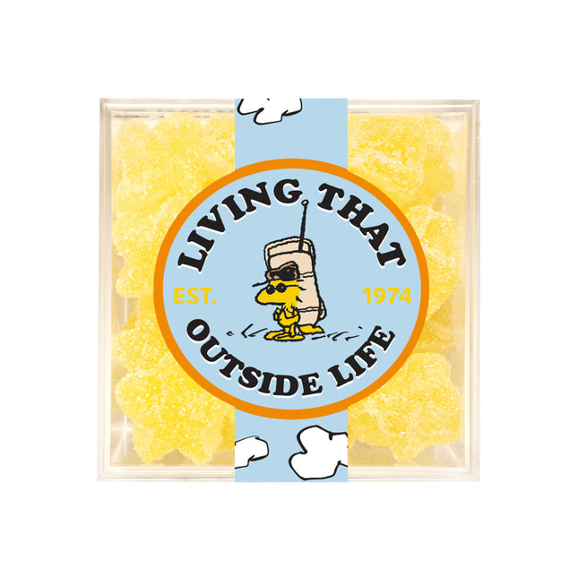 Living That Outside Life - Lemonade Stars - Small