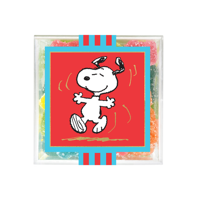 Snoopy - Sour Rainbow Bears - Small